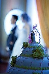 《小缇娜的奇幻之地》最新情报公开 新职业、游戏环境等